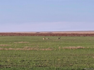 0 Cr K, Haswell, CO 81045 - photo 7