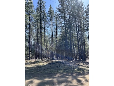 4 Thompson Trail, Goldendale, WA 98620 - photo 3