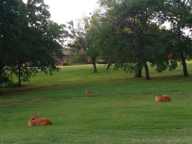 your backyard