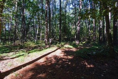 0 Alpine Cir, Breezy Point, MN 56472 - photo 5