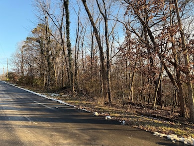 0 Panorama Ave NW, Roanoke, VA 24017 - photo 3