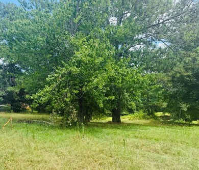 View of nature