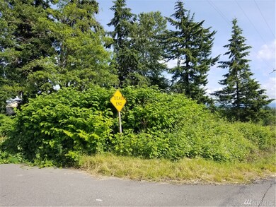 10202 255th St E, Graham, WA 98338 - photo 4