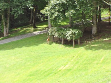 Grape vines are shared with the deer