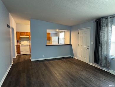 3812 Mississippi Ave, Davenport, IA 52807 - photo 4