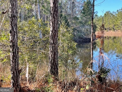 0 Landing Trail, Waynesville, GA 31566 - photo 2