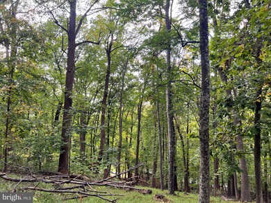 Lot #5 Bridle Path Rd, Front Royal, VA 22630 - photo 3