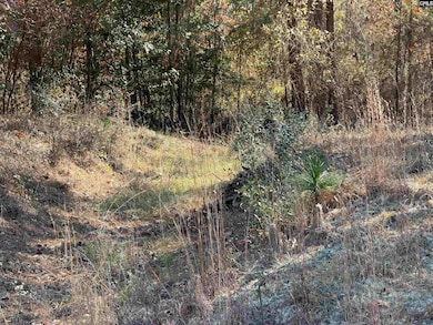 1043 Oakland Dr, Camden, SC 29020 - photo 5