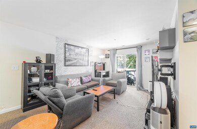 765 Denali Way unit 203, Charlottesville, VA 22903 - photo 7