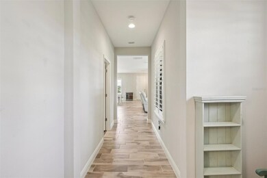 12506 Triple Creek Blvd, Riverview, FL 33579 - photo 3