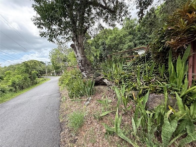 SR 312 km 1.5 Sector Las Magas Bo Llanos Tuna, Cabo Rojo, PR 00623 - photo 5