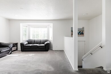 Carpeted living area with baseboards and a textured ceiling