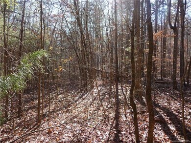 7926 Robinson Church Rd, Charlotte, NC 28215 - photo 6