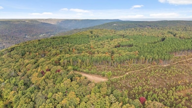 Roberts Road, Spencer, TN 38585