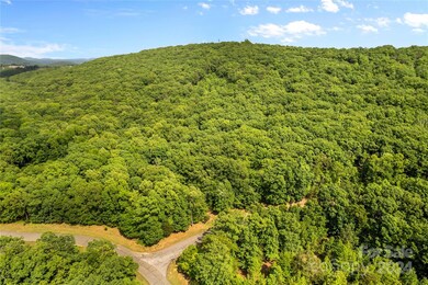 159 Pinnacle Trail, Denton, NC 27239 - photo 3