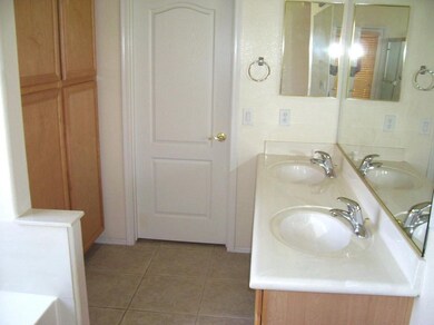 Master Bath Sinks