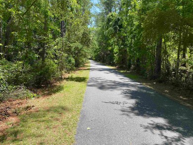 34 White Tail Dr, Crawfordville, FL 32327 - photo 3