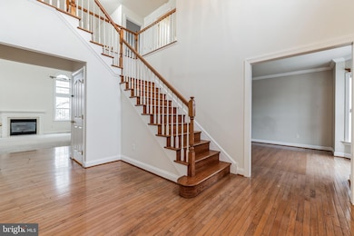 807 Colorado Dr, Newark, DE 19713 - photo 5