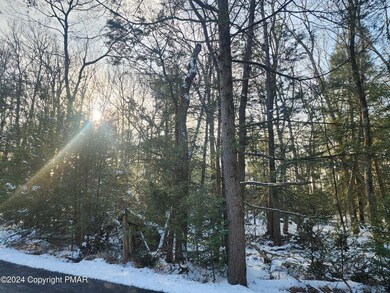 0 Yellow Run Rd unit 752474, Penn Forest Township, PA 18229 - photo 5