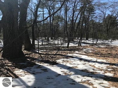 N/A E 3rd St, Au Gres, MI 48703 - photo 2