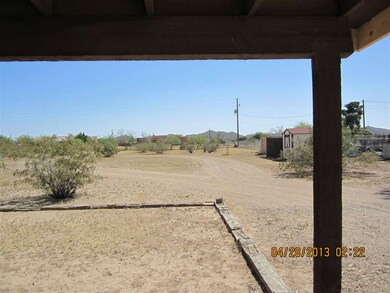 Backyard 1