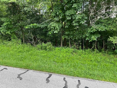 0 N Melchoir Dr unit 202525775, Santa Claus, IN 47579 - photo 2