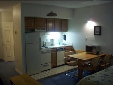 C11336 Lodge Rd unit C113, Lincoln, NH 03251 - photo 6