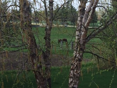 3221 Cobblestone Ct, Cedar Falls, IA 50613 - photo 4