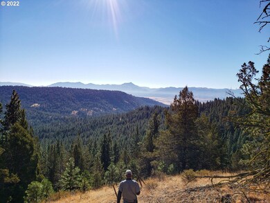 0 Forest Service Rd unit 22044352, Prairie City, OR 97869 - photo 5