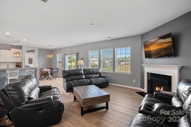 481 Zoe Bee Dr, Clover, SC 29710 - photo 4