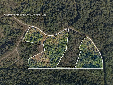 0 Shores Trail unit RTC2957908, Stewart, TN 37175 - photo 2