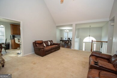 482 Panhandle Place, Hampton, GA 30228 - photo 7