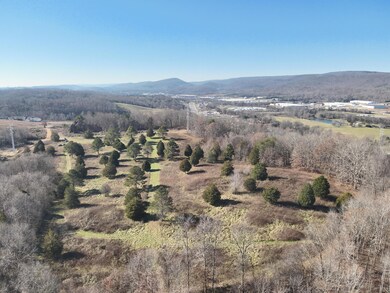 DJI_20241223113440_0037_V