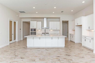 6102 Hidden Branch Dr, Apollo Beach, FL 33572 - photo 3