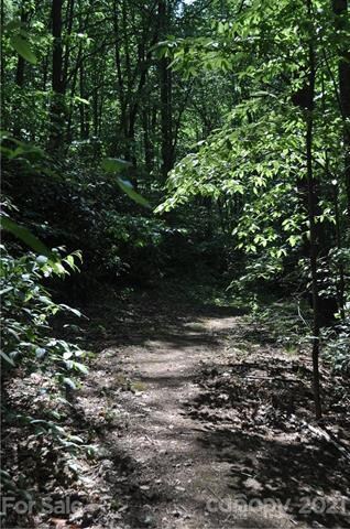 701 Chestnut Trail unit Lot 8, Hendersonville, NC 28792 - photo 2