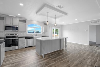 unlisted-address, Alba, TX 75410 - photo 2