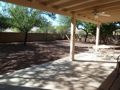 Rear patio & yard