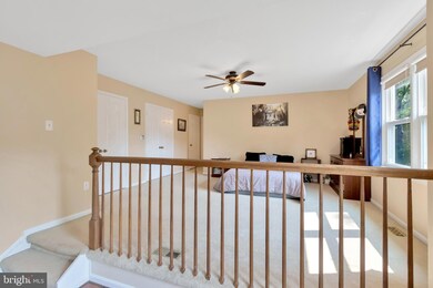 4609 Deming Ave, Alexandria, VA 22312 - photo 6