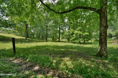 Front Yard 2