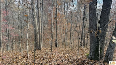 527 Chestnut Grove Cemetery Rd, Bonnieville, KY 42713 - photo 6