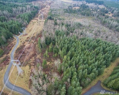 24806 182nd St E, Orting, WA 98360 - photo 3