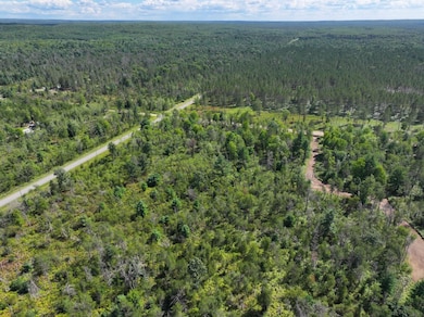 V L 10a 72nd St, Idlewild, MI 49642 - photo 4