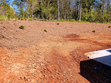 103 Doya Ln, Loudon, TN 37774 - photo 7