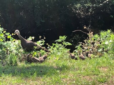 0 Jerry Young Rd unit 134444, Sumner, GA 31714 - photo 4