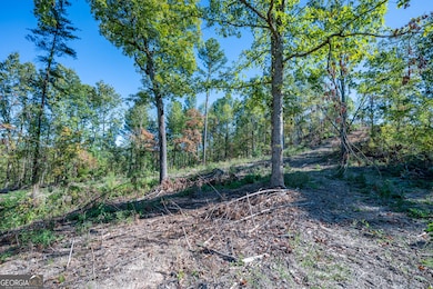 3875 Hwy 140 NE, Rydal, GA 30171 - photo 5