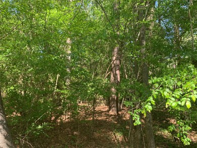 TBD N Lakewood Dr, Splendora, TX 77372 - photo 3