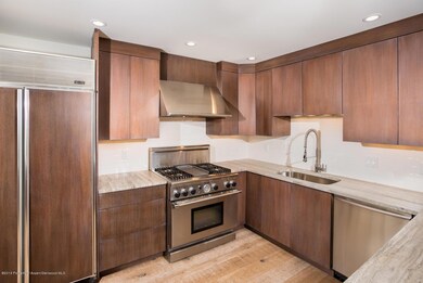 351 Wren Ct Basalt CO 81621-large-007-11