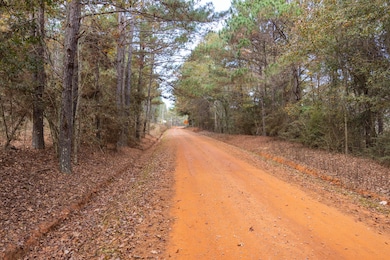 7 Acres Lot D County Road 682, Coffee Springs, AL 36318 - photo 3