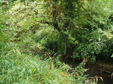 0 Blitz Ln, Blodgett, OR 97326 - photo 2