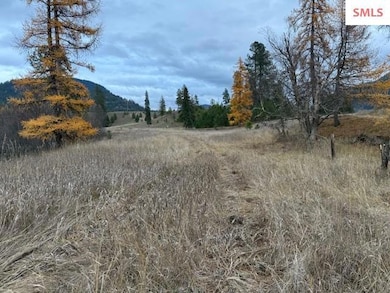 NNA (8550) Eastside Rd, Priest River, ID 83856 - photo 2